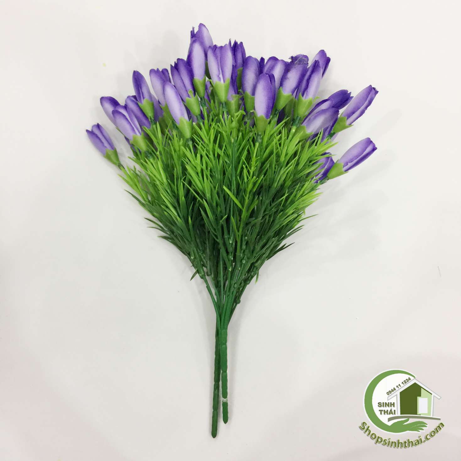 [HCM]Bụi Hoa Tulip Nhí Màu Tím