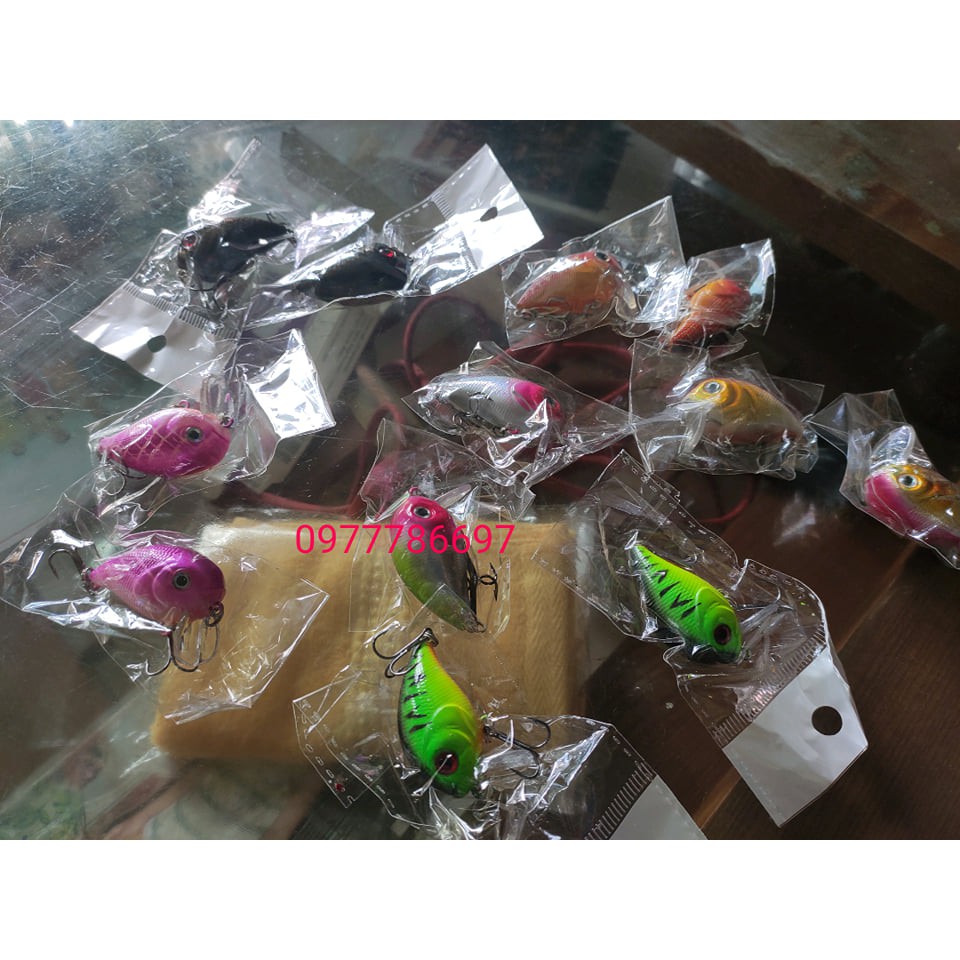 mồi cá voi lưng gù