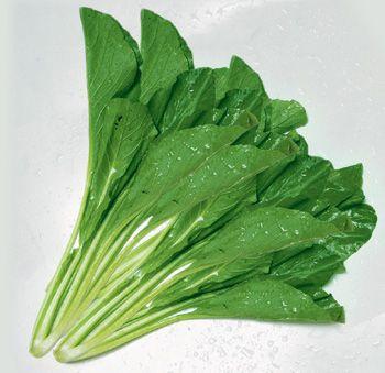 Hạt giống cải ngọt cọng xanh