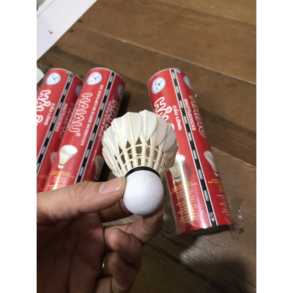 Hộp cầu lông hải âu_ loại hộp 6 quả và loại 12 quả