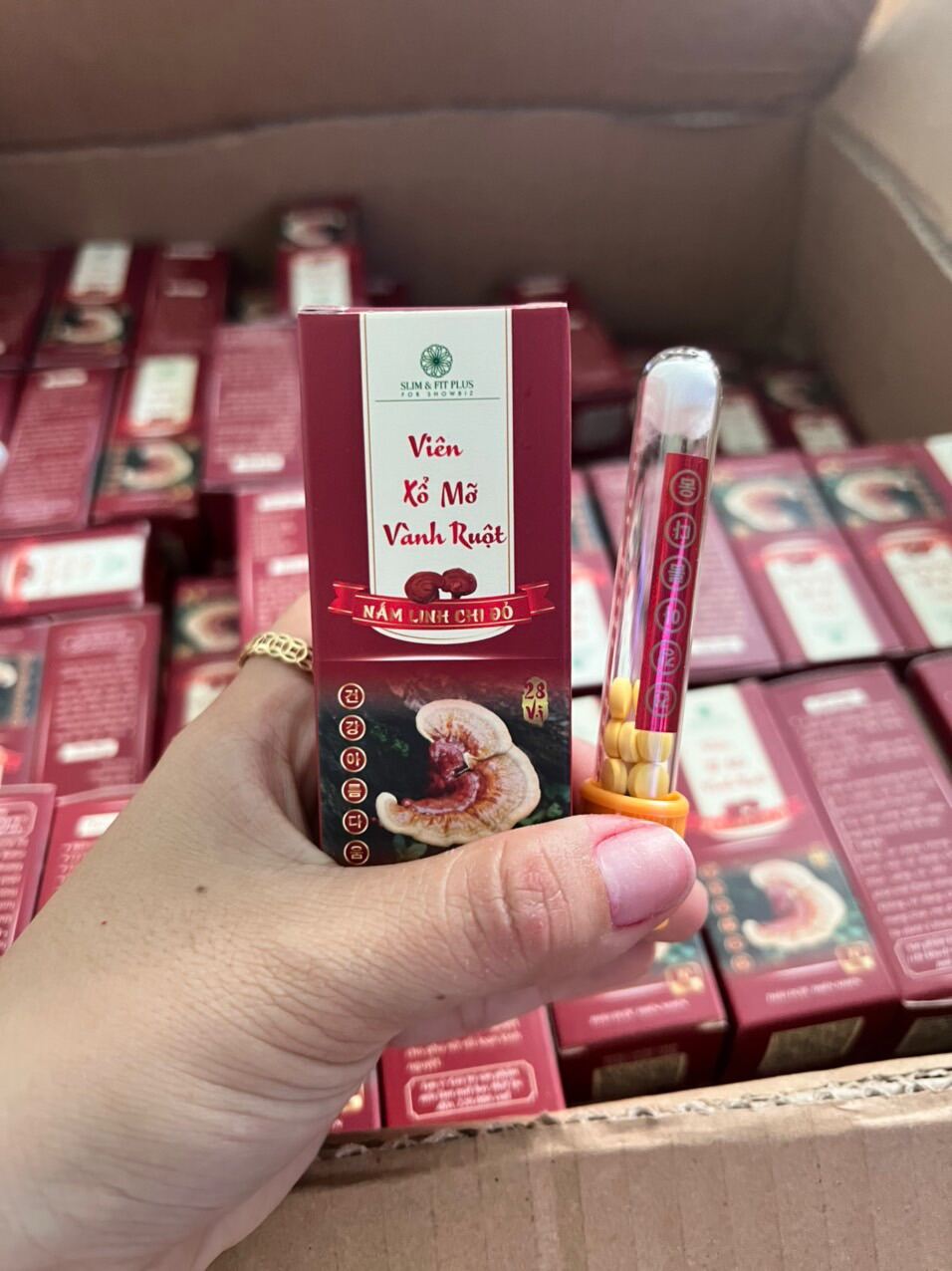 Viên Xổ Mỡ Vành Ruột – linh chi đỏ