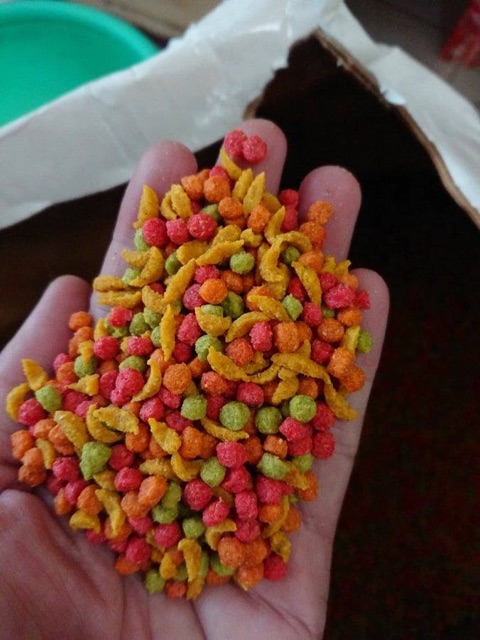 [HCM]Hạt trái cây Cockatiel gói chia lẻ 100g