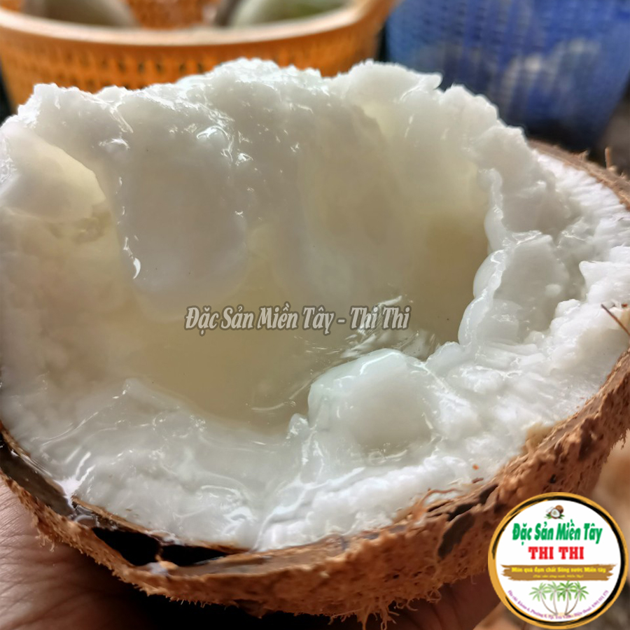 Dừa Sáp Thượng Hạng Loại 1 Size Vừa (Trái 800gr-1Kg)