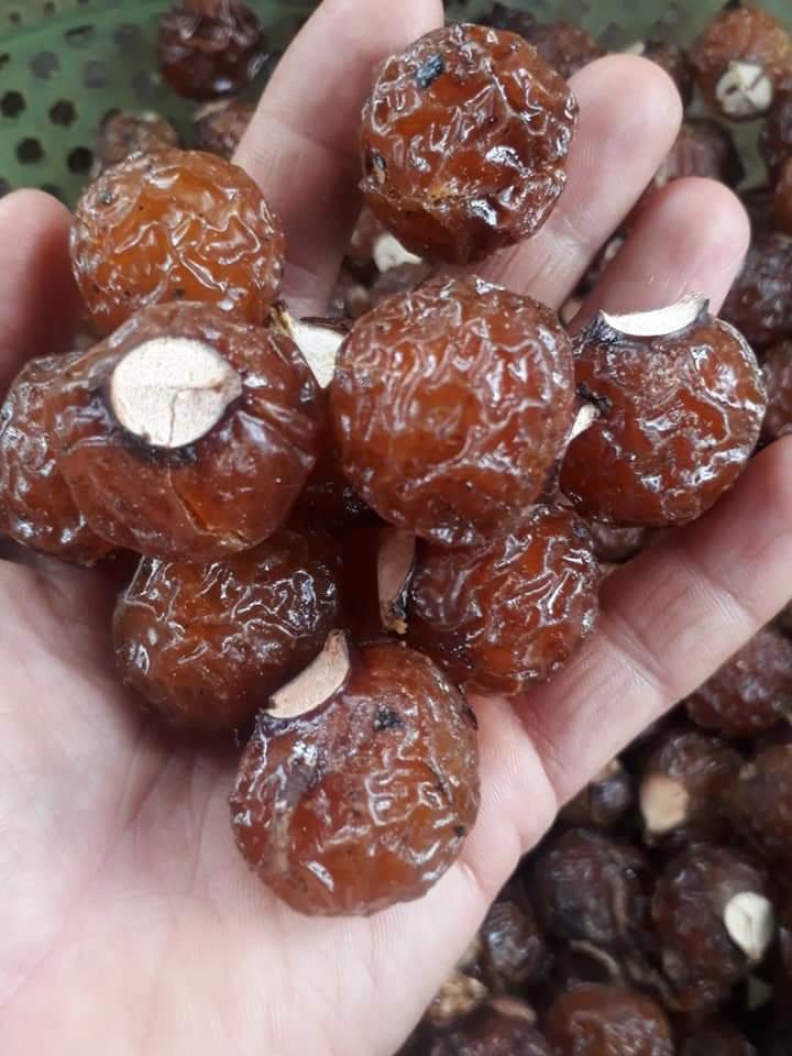 1kg bồ hòn tách hạt