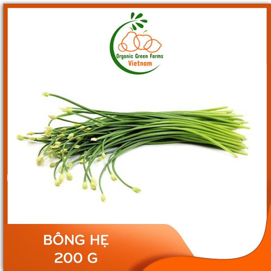 [OGF] - Bông hẹ (200 g) - [Giao nhanh TPHCM]