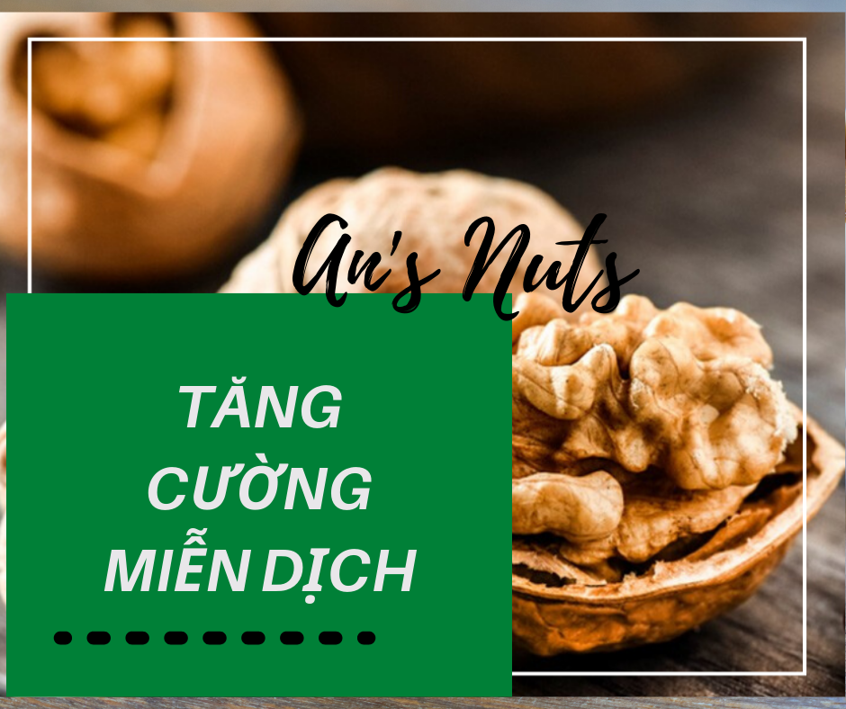 QUẢ ÓC CHÓ CAO CẤP LOẠI I- 500gr