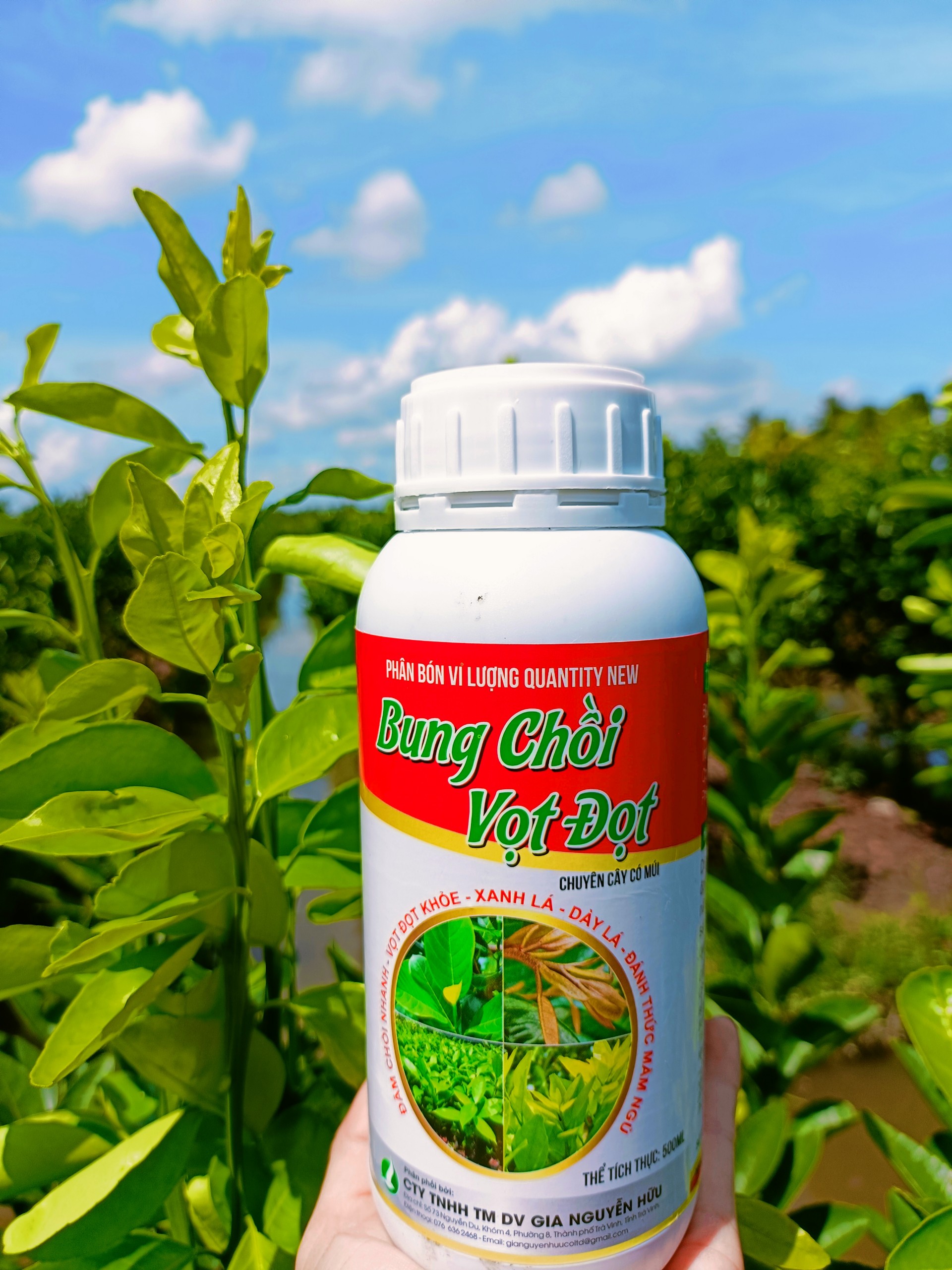 BUNG CHỒI VỌT ĐỌT CÂY ĂN TRÁI (chai 500ml)