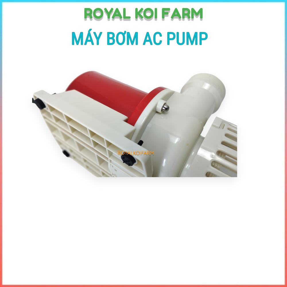 Máy Bơm Nước AC Pump 9000, 12000, 15000, 25000