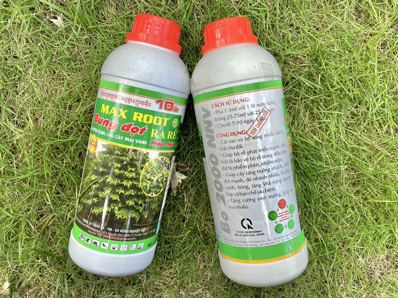 MAX ROOT BUNG ĐỌT RA RỄ MAI VÀNG CHAI 500ML