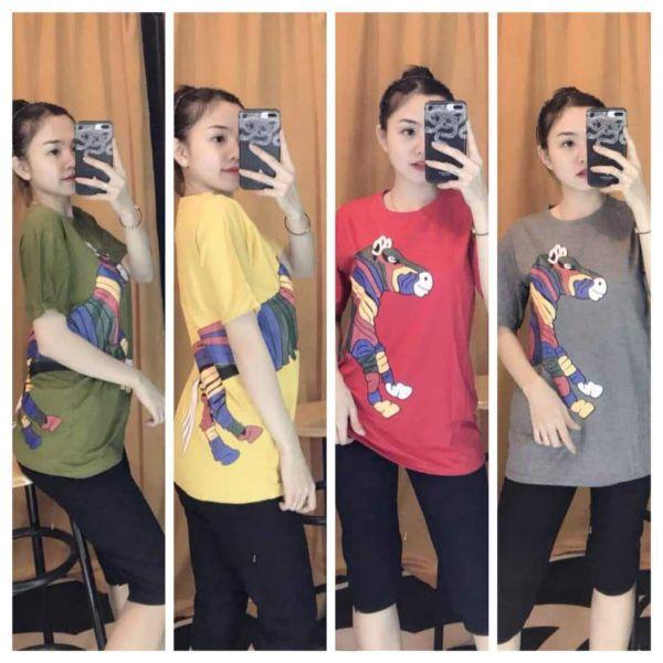 Đồ bộ mặc nhà thun cotton in hình con ngựa siêu hót