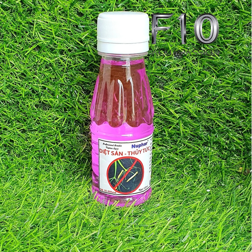 Nuphar -diệt sán thuỷ tức- diệt mọi sinh vật gây hại trong bể cá, tép - bể thuỷ sinh