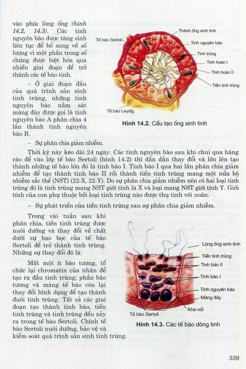 Sách - Sinh lý học (tái bản 2023)