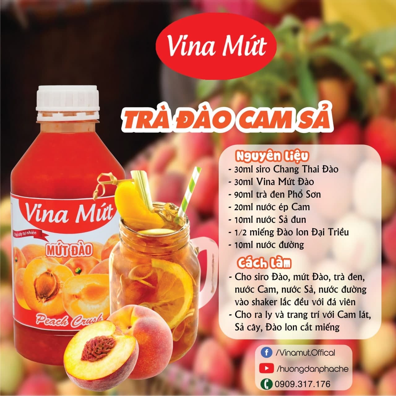 SINH TỐ ĐÀO VINA MỨT - 1000G