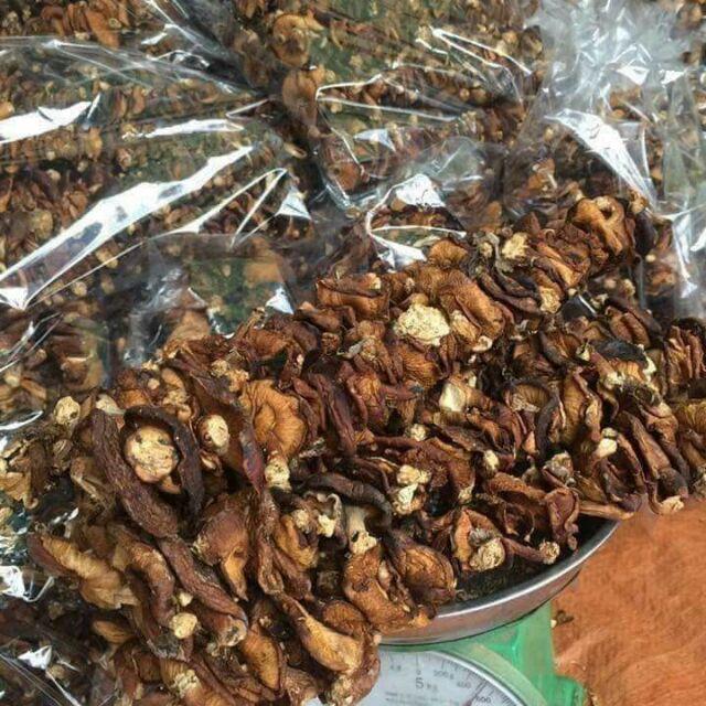 Nấm Hường Rừng Tây Bắc 1kg