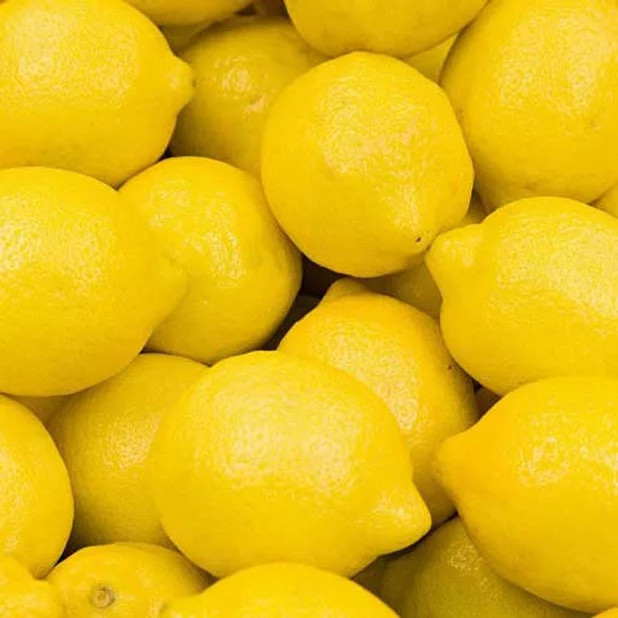 Tinh Dầu Vỏ Chanh Nguyên Chất Nomad Essential Oils Lemon