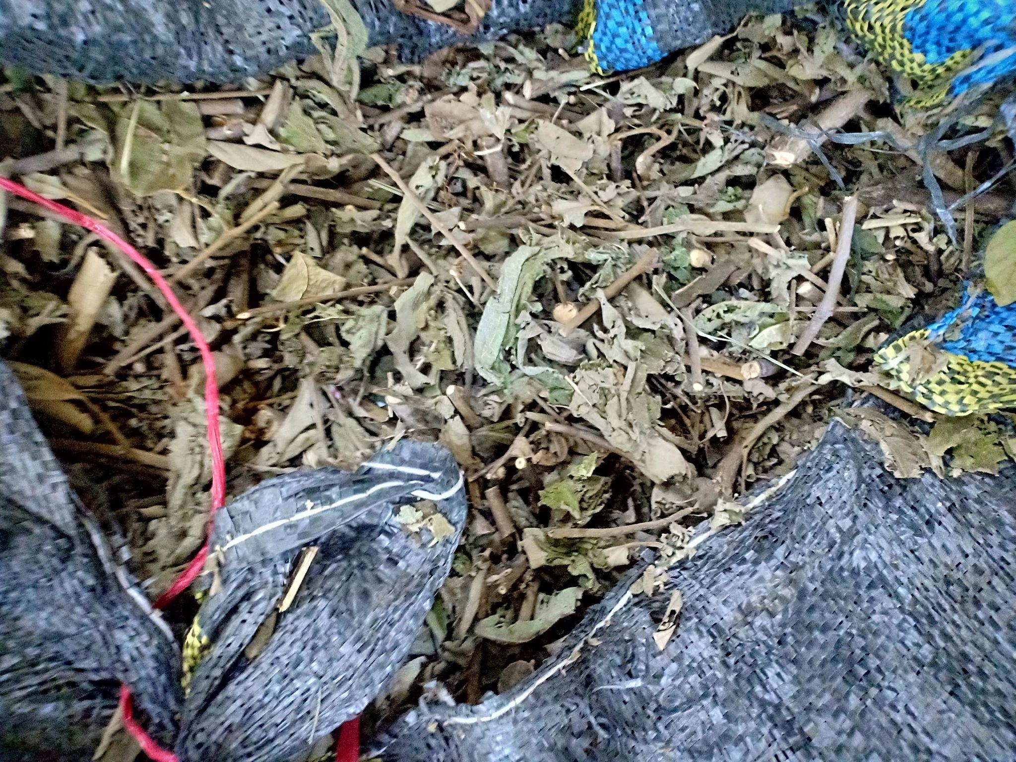 Cây an xoa - HOA MÀU TÍM 1kg