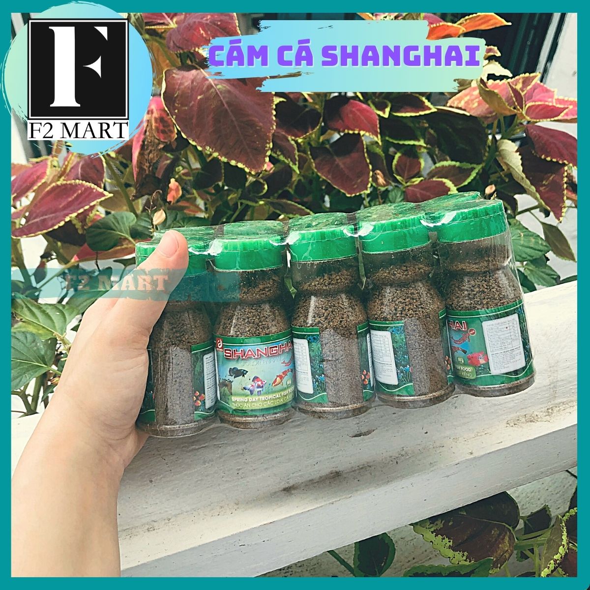 Thức Ăn Cá Cảnh ShangHai | Cám Cá ShangHai Lọ 50g