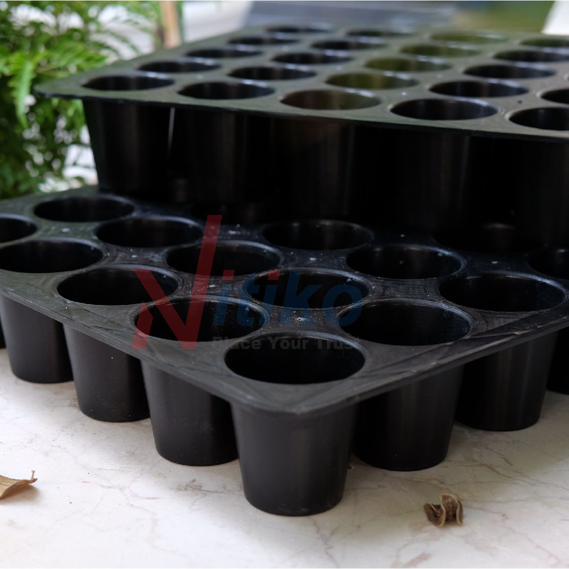Combo 3 khay ươm cây giống Ecotray 40 lỗ ươm