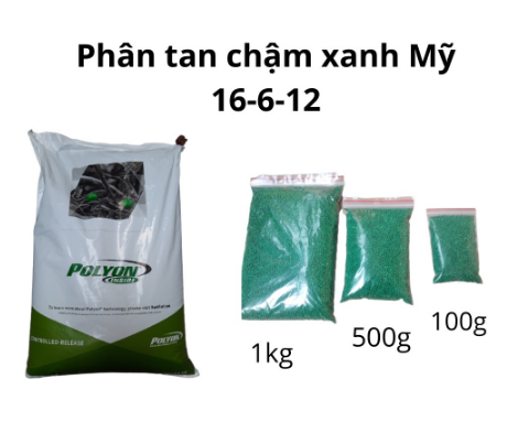 Phân tan Chậm Mỹ PoLyon hạt xanh 16-6-12 (500gram)
