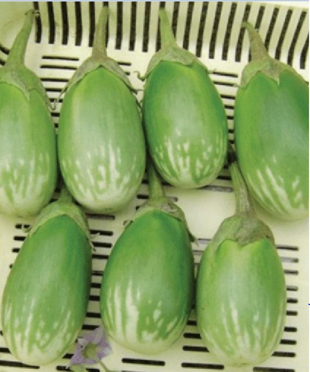 Viên đất nung ( sỏi nhẹ ) - Bao 5dm3 ( KT 10-20mm ) - 2.5kg/túi