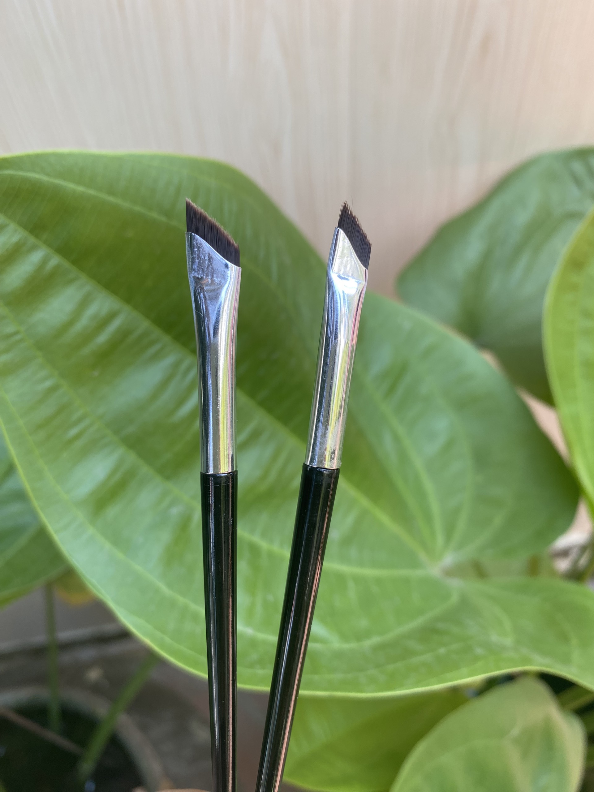 Set 2 cây cọ lưỡi liềm kẻ mắt