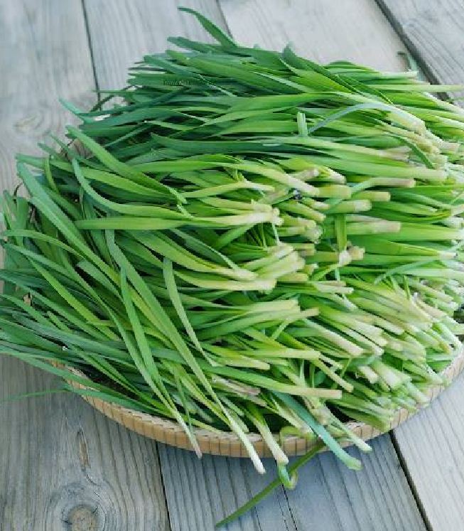 "Gói 2Gr-330 "Hạt giống Rau Hẹ Ta Ăn Lá [Seeds]