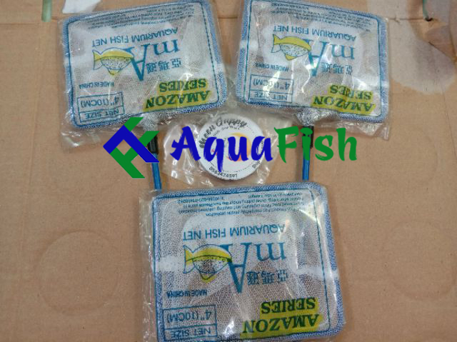 Vợt Vuông Bắt Cá Nhỏ Dùng Cho Bể Cá Trong Nhà (size vợt từ 4in đến 10in)
