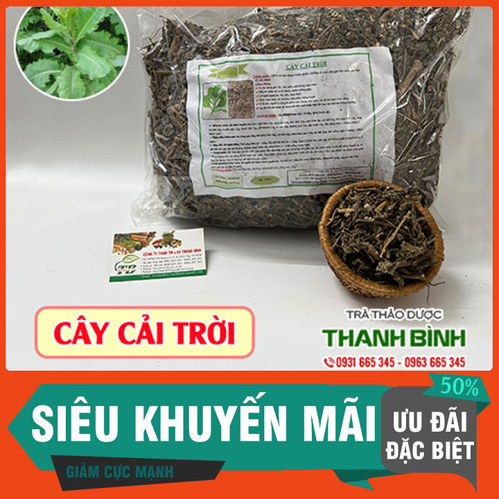 Cây cải trời 500g - hàng công ty chất lượng