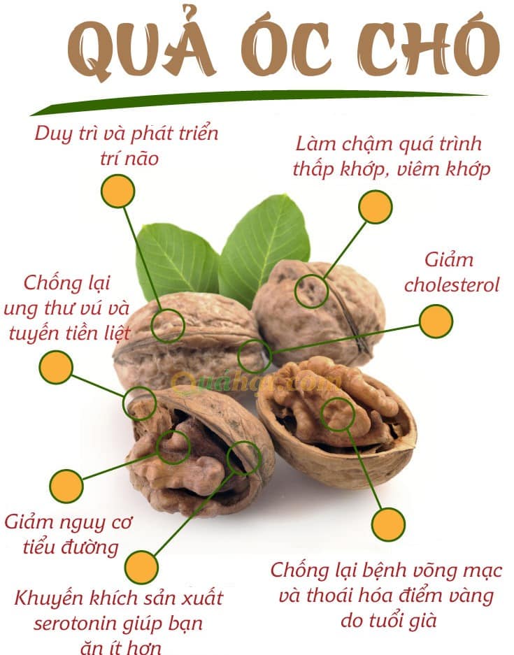 [ TẶNG 25GRAM HẠT CHIA ÚC ] Hạt Óc Chó vàng tách vỏ NK Mỹ - Quả óc chó Mỹ túi 500g - HẠT ÓC CHÓ VÀNG CHANDLER TÁCH VỎ - walnuts