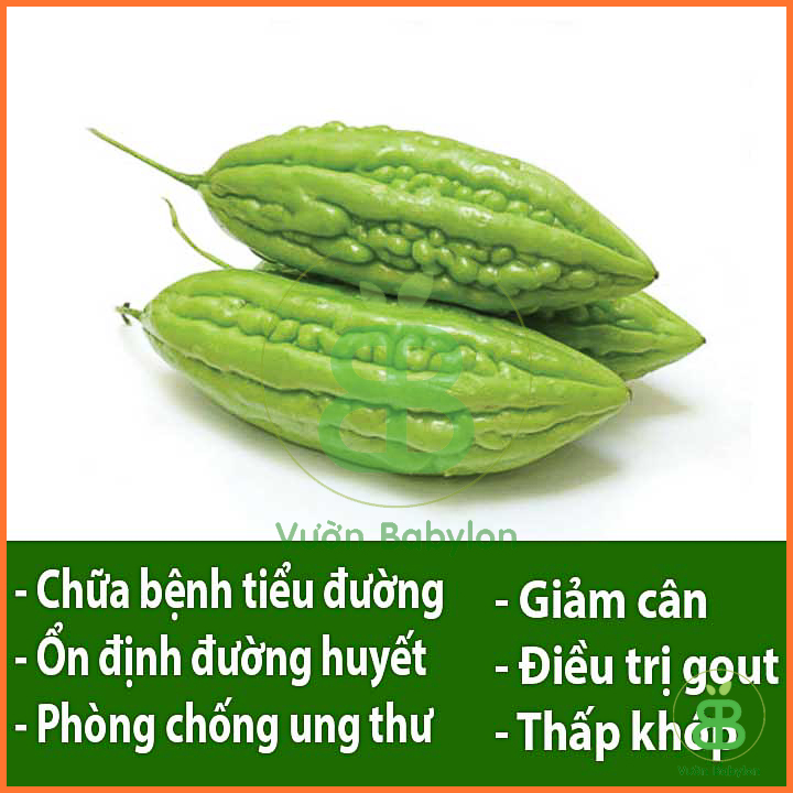 Hạt Giống Khổ Qua - Mướp Đắng Cao Sản 2Gr