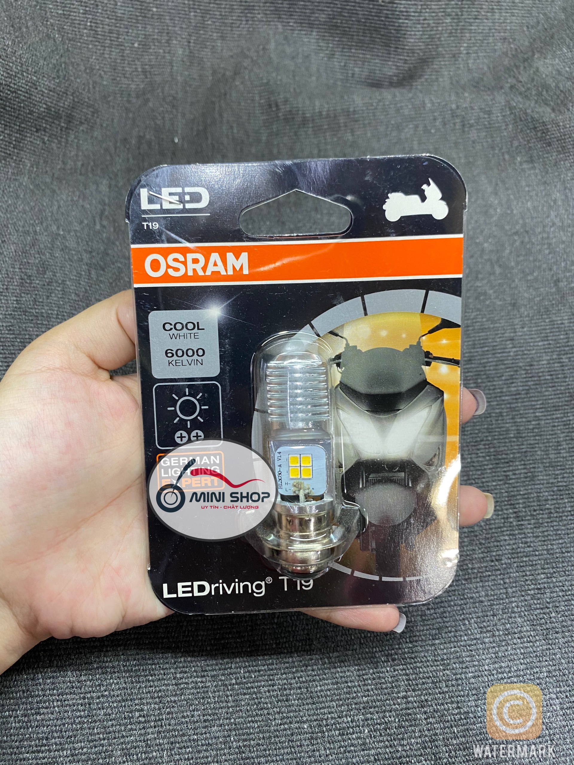BÓNG LED OSRAM M5