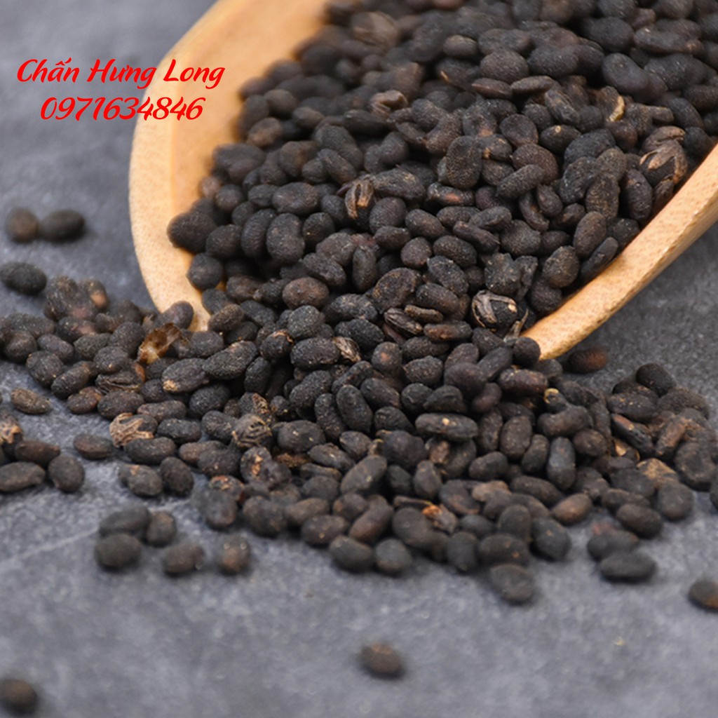 Bổ Cốt Chỉ - Phá Cố Chỉ 100g - đông y chấn hưng long