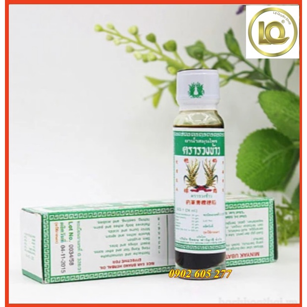 Dầu bông lúa Minyak Thái Lan 24ml