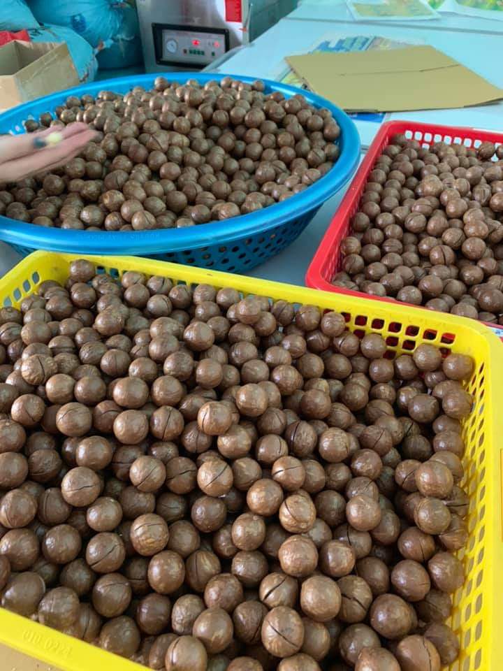❌❌ Hạt Macca Nứt Vỏ Tự Nhiên 500g