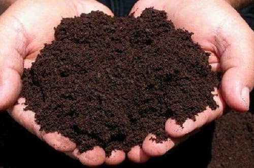 5kg Bag of Sfarm Dang Gia Trang Earthworm Compost Powder - Organic Fertilizer (Contains Cocoons - Earthworm Eggs) Has Been Dehumidified.