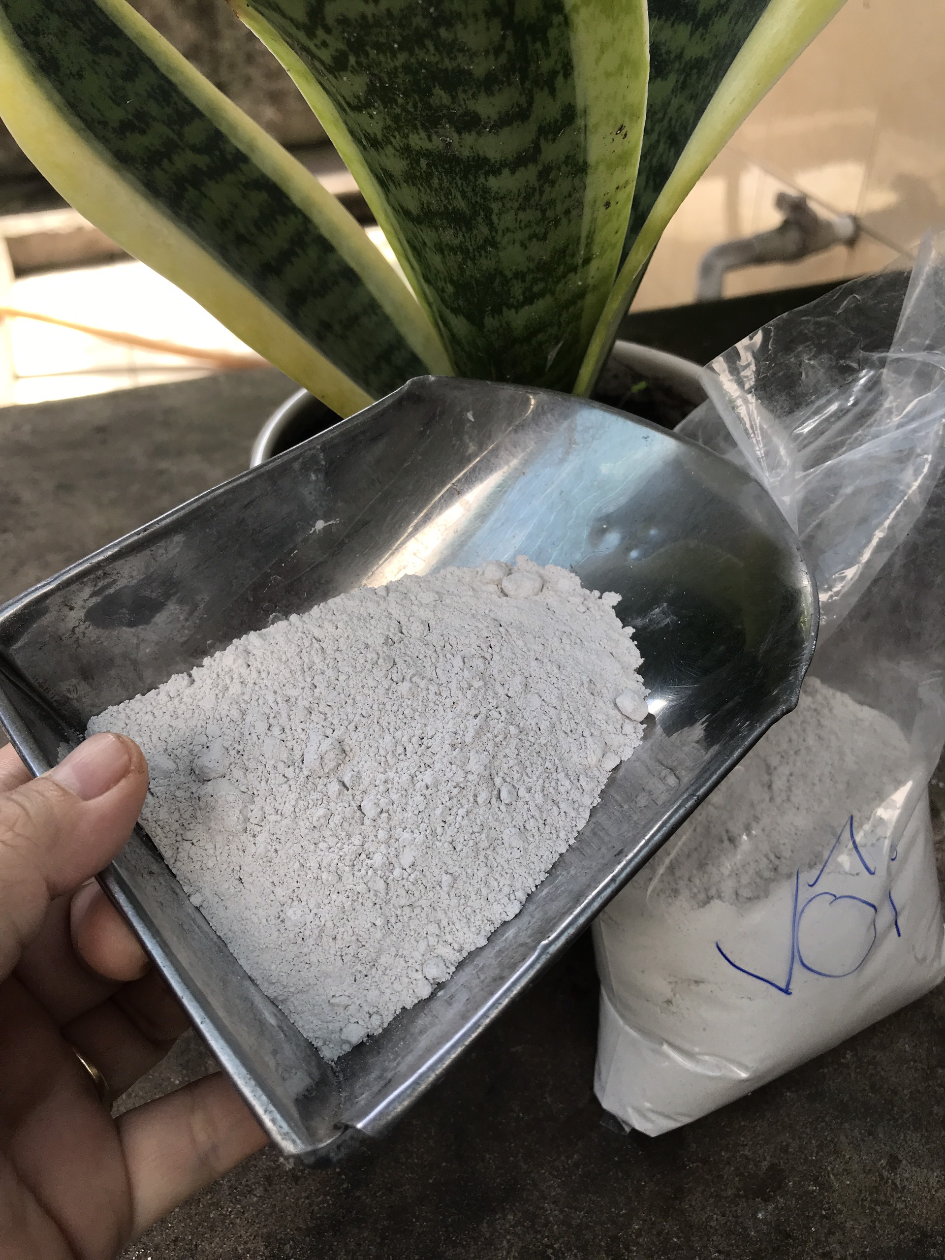 👉Vôi bột 500g - xử lý đất trồng