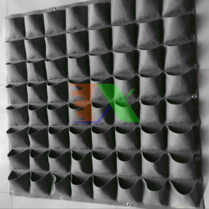 Túi trồng cây treo tường 64 hốc, Túi làm vườn tường trang trí, Túi trồng hoa, rau, cây cảnh (8 X 8)