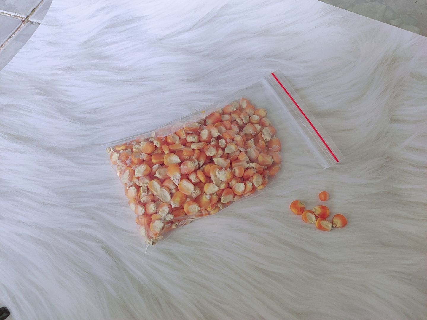 Mài răng cho hamster - Bắp hạt - 100gr