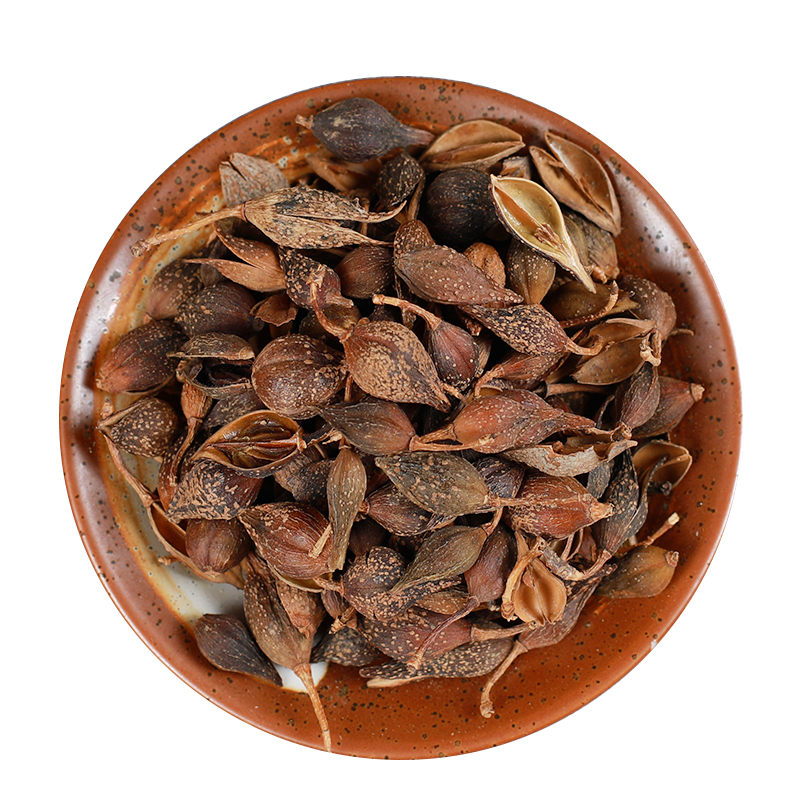 [Hàng mới về] Liên kiều sấy khô 100g (thơm, sạch) - Thảo Dược Tấn Phát - Hỗ trợ thanh nhiệt, lợi tiểu và cường tim