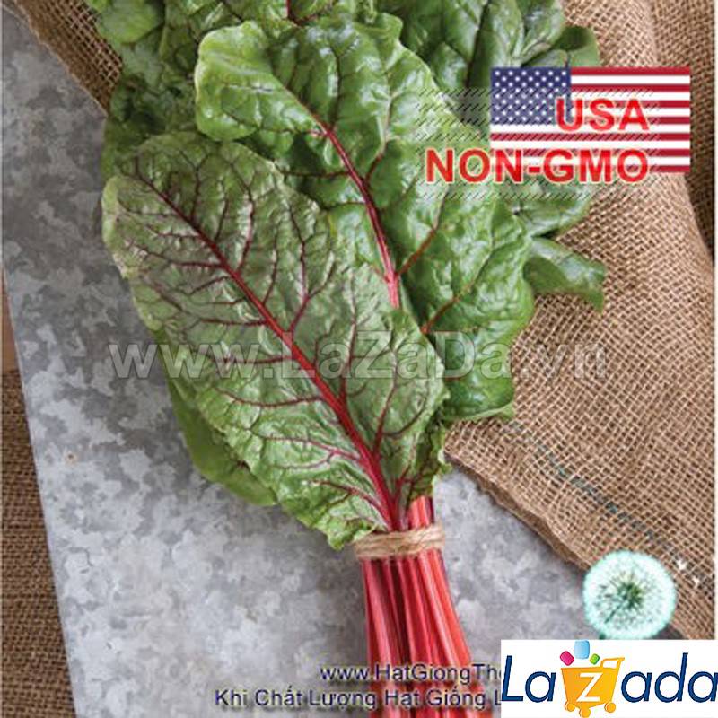 20GR Hạt Giống Cải Ngọt Thụy Sỹ Đỏ Đẫm Ruby (| C7*X45)