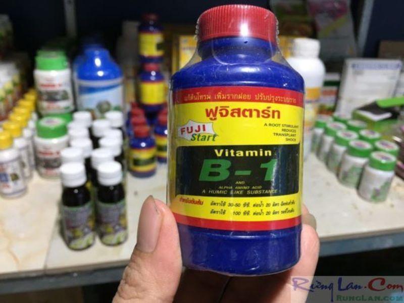 vitamin B1 Thái ( có hướng dẫn tiếng Việt)