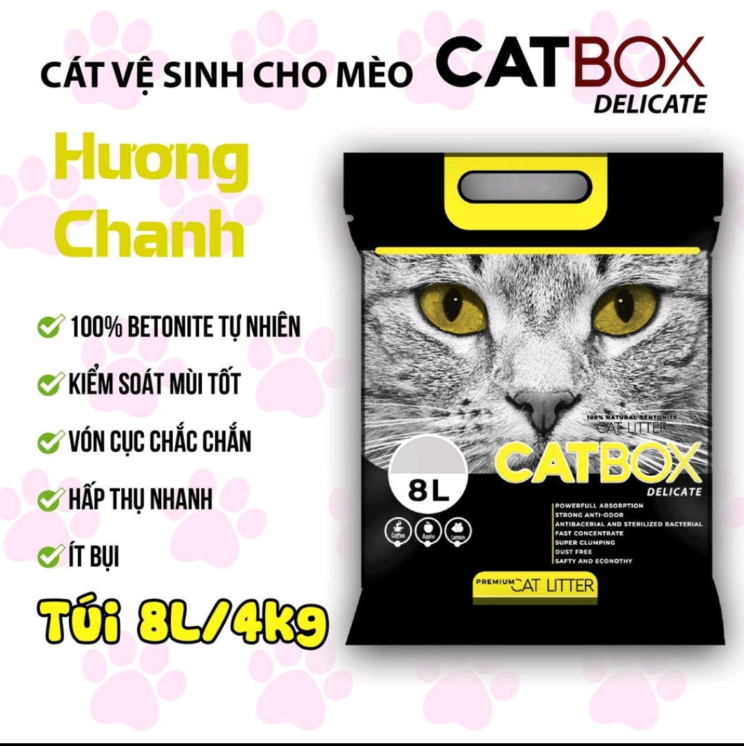 Cát vệ sinh cho mèo 8L 16L CATBOX
