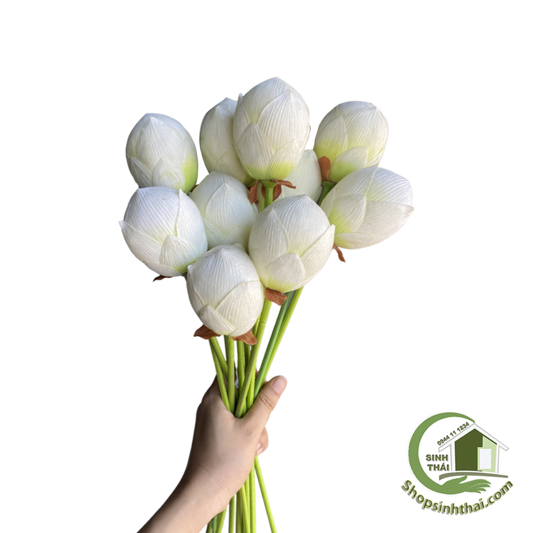 Cành nụ hoa sen giả màu trắng - cành sen vải lụa cao cấp