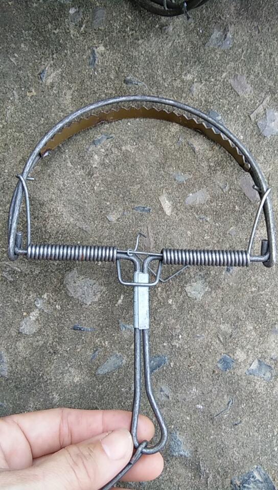 Bẫy răng vòng cung đập chuột, hình bán nguyệt, bẫy chuột thông minh cam kết hài lòng