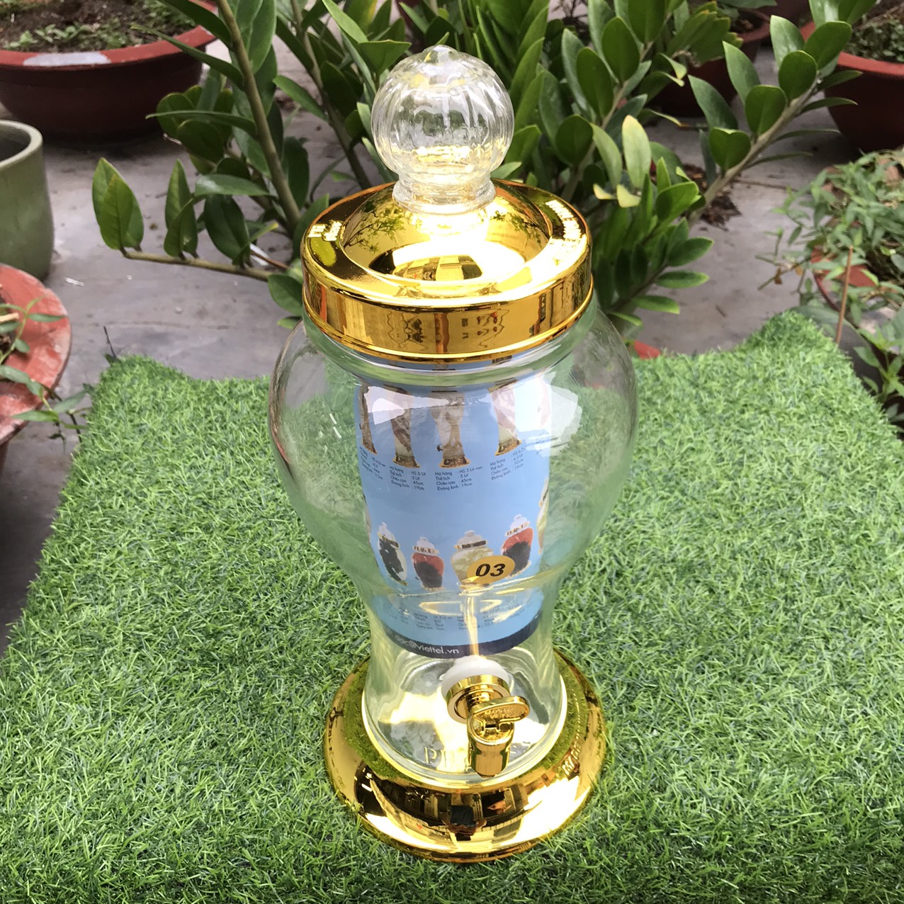 BÌNH NGÂM SÂM THỦY TINH 2 LÍT ( SÂM PHÚ HÒA )
