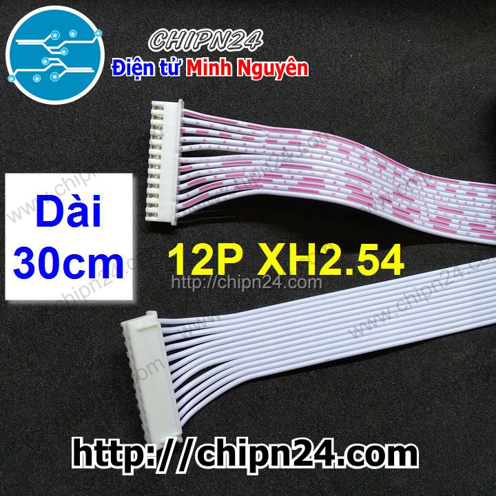 [1 sợi] (D56) Dây bẹ 12p 30cm XH2.54mm (Dây bus, Dây cáp)