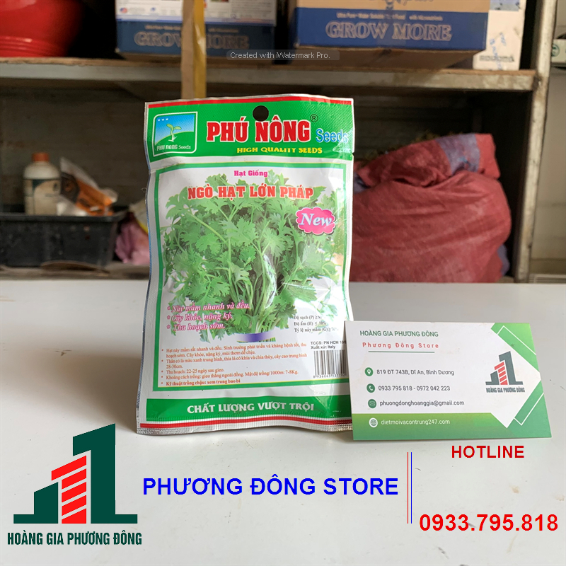 Hạt giống ngò hạt lớn 20g