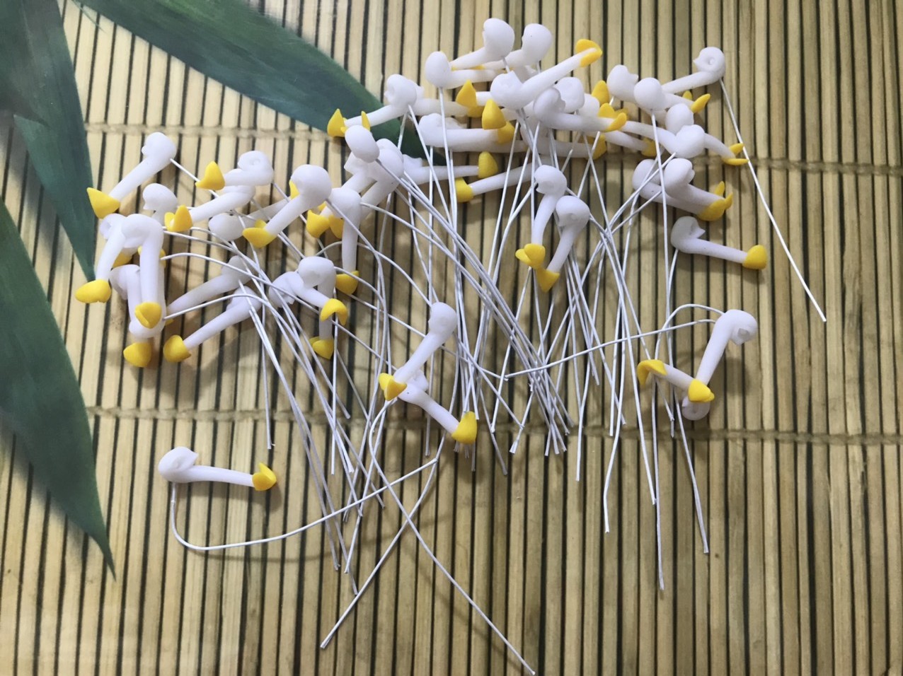 Bộ 50 nhụy hoa lan hồ điệp