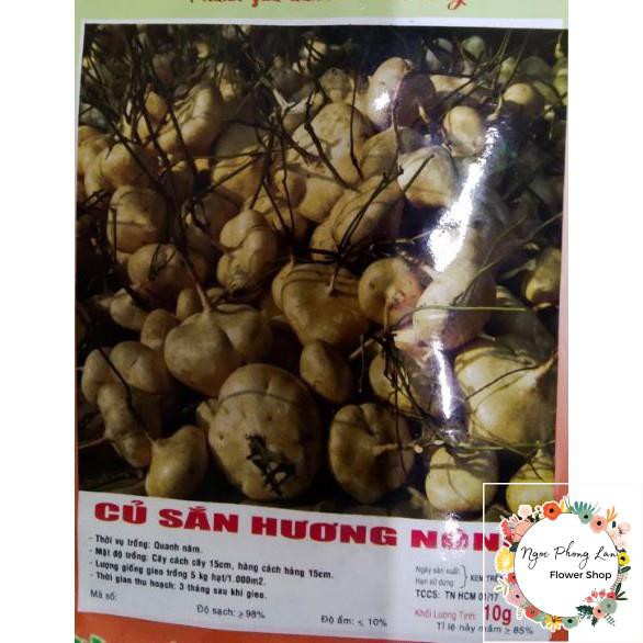 Giống Củ Sắn Củ Đậu - Gói 10 Gram