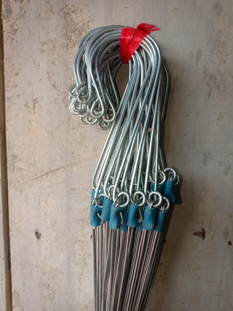 20 MÓC KẼM  (70CM) TREO CHẬU